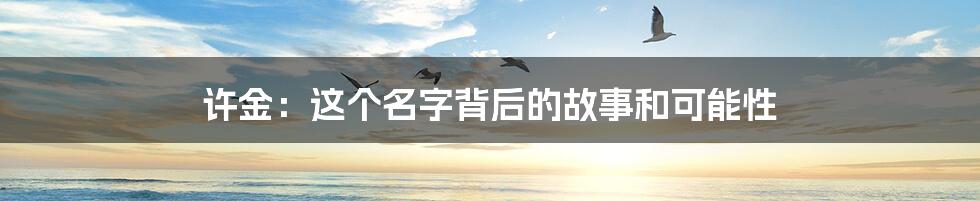 许金:这个名字背后的故事和可能性
