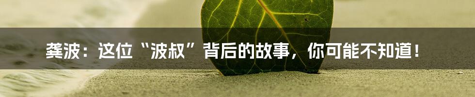 龚波:这位“波叔”背后的故事,你可能不知道!