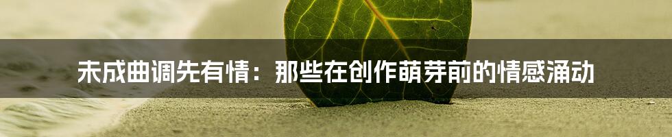未成曲调先有情:那些在创作萌芽前的情感涌动