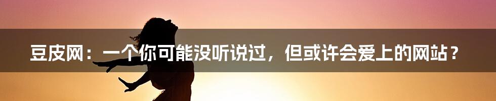 豆皮网：一个你可能没听说过，但或许会爱上的网站？