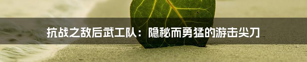 抗战之敌后武工队:隐秘而勇猛的游击尖刀