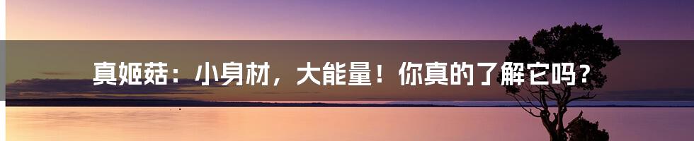 真姬菇:小身材,大能量!你真的了解它吗?