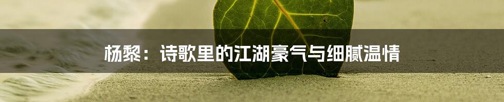 杨黎:诗歌里的江湖豪气与细腻温情