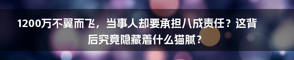 1200万不翼而飞,当事人却要承担八成责任?这背后究竟隐藏着什么猫腻?