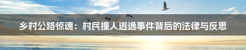 乡村公路惊魂:村民撞人逃逸事件背后的法律与反思