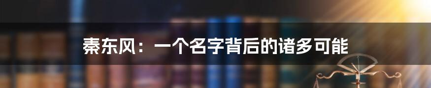 秦东风:一个名字背后的诸多可能