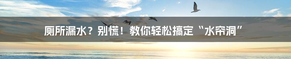 厕所漏水?别慌!教你轻松搞定“水帘洞”