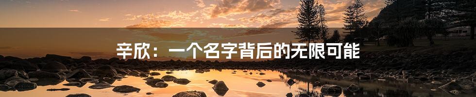 辛欣:一个名字背后的无限可能