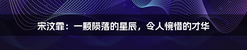 宋汶霏:一颗陨落的星辰,令人惋惜的才华