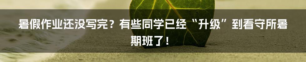 暑假作业还没写完?有些同学已经“升级”到看守所暑期班了!