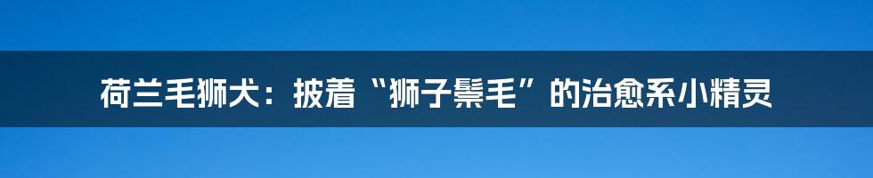 荷兰毛狮犬:披着“狮子鬃毛”的治愈系小精灵