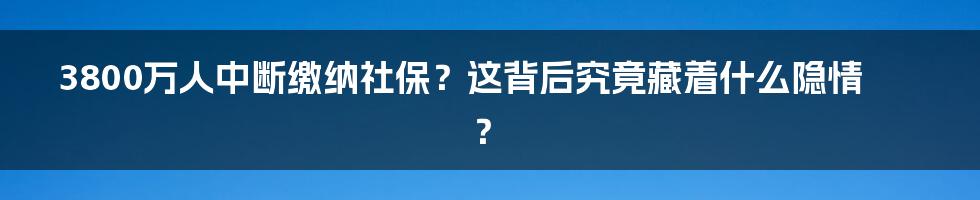 3800万人中断缴纳社保?这背后究竟藏着什么隐情?