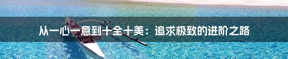 从一心一意到十全十美:追求极致的进阶之路