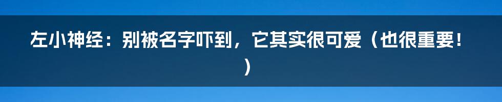 左小神经:别被名字吓到,它其实很可爱(也很重要!)
