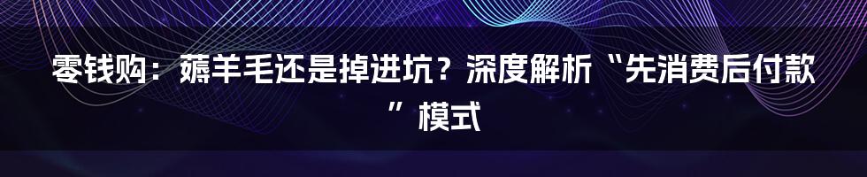 零钱购:薅羊毛还是掉进坑?深度解析“先消费后付款”模式