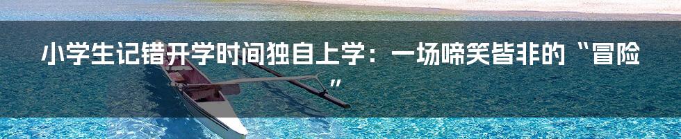 小学生记错开学时间独自上学:一场啼笑皆非的“冒险”