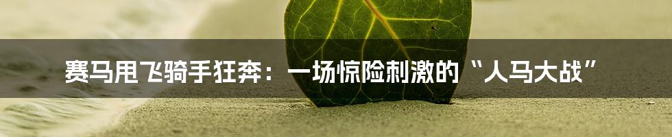 赛马甩飞骑手狂奔:一场惊险刺激的“人马大战”