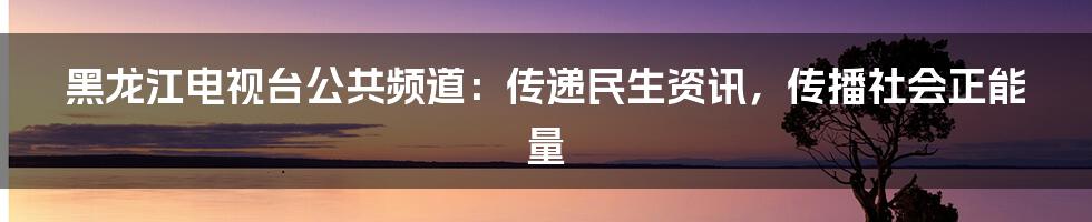 黑龙江电视台公共频道:传递民生资讯,传播社会正能量