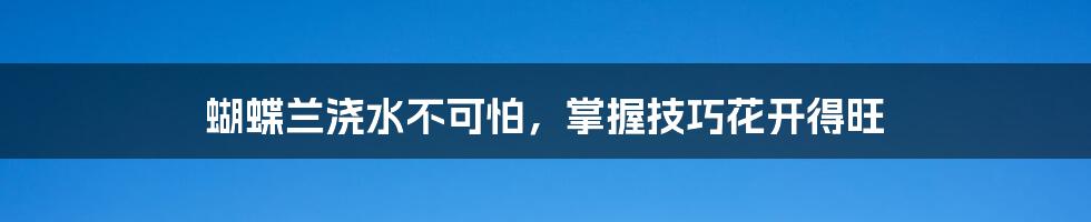 蝴蝶兰浇水不可怕,掌握技巧花开得旺