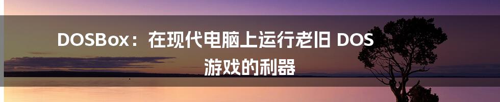 DOSBox:在现代电脑上运行老旧 DOS 游戏的利器