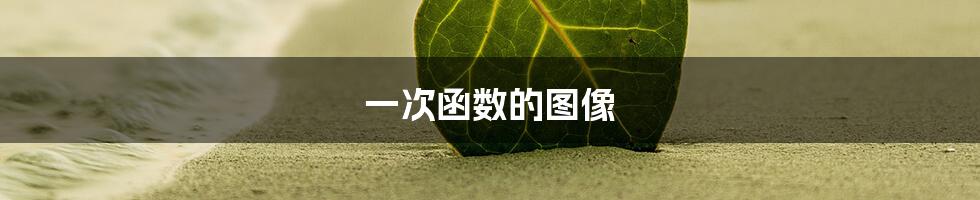 一次函数的图像