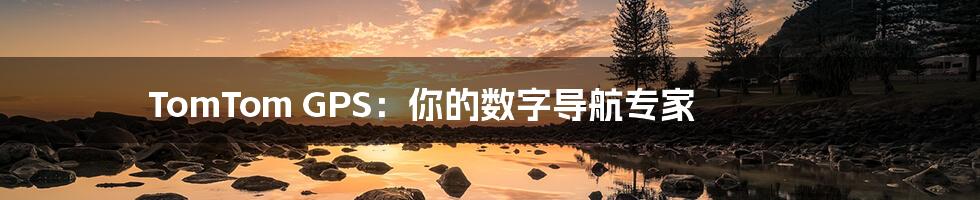 TomTom GPS:你的数字导航专家