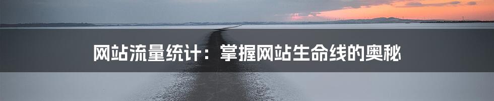 网站流量统计:掌握网站生命线的奥秘