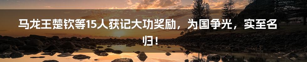 马龙王楚钦等15人获记大功奖励,为国争光,实至名归!
