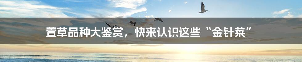 萱草品种大鉴赏,快来认识这些“金针菜”