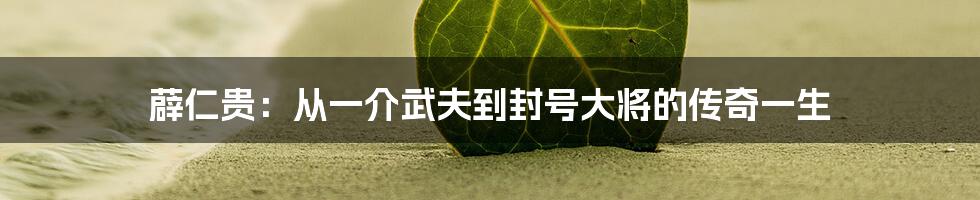 薜仁贵:从一介武夫到封号大将的传奇一生