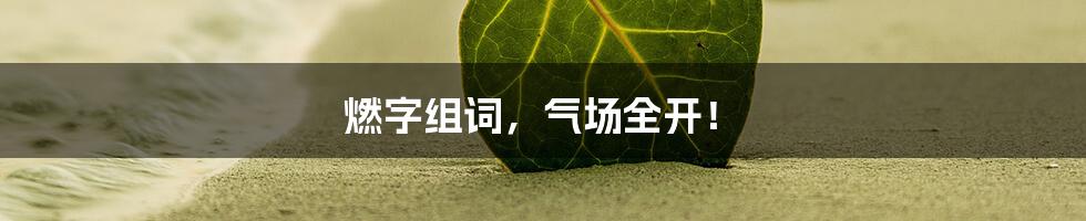 燃字组词,气场全开!