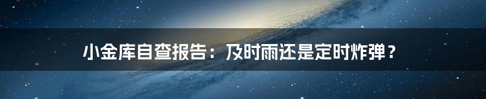 小金库自查报告：及时雨还是定时炸弹？