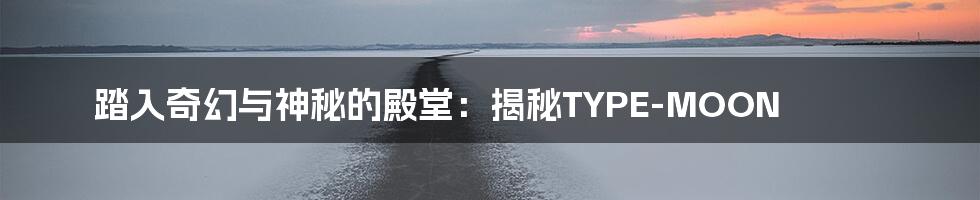 踏入奇幻与神秘的殿堂：揭秘TYPE-MOON
