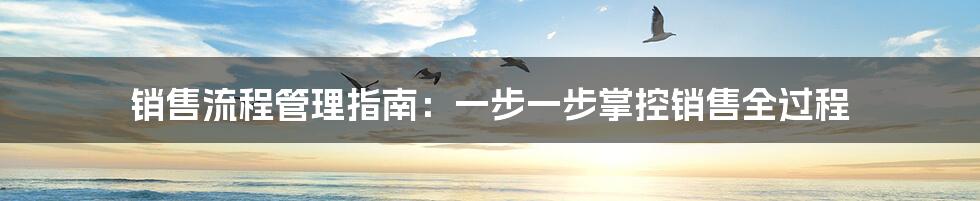 销售流程管理指南:一步一步掌控销售全过程