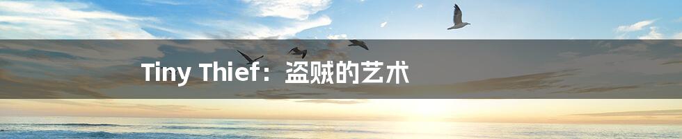 Tiny Thief:盗贼的艺术