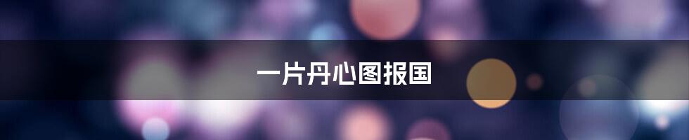 一片丹心图报国
