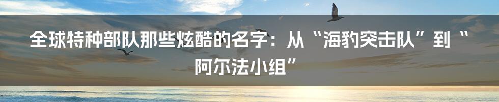 全球特种部队那些炫酷的名字:从“海豹突击队”到“阿尔法小组”