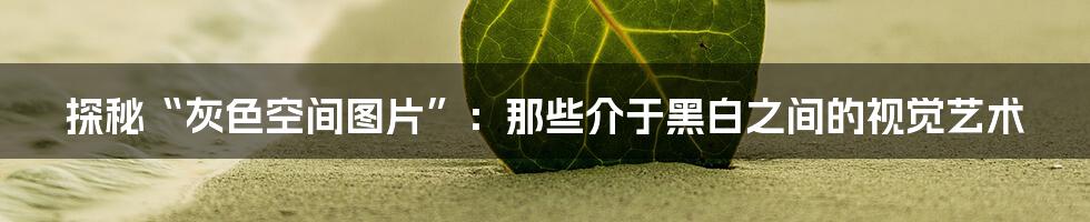 探秘“灰色空间图片”:那些介于黑白之间的视觉艺术