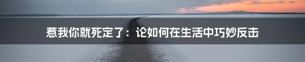 惹我你就死定了:论如何在生活中巧妙反击