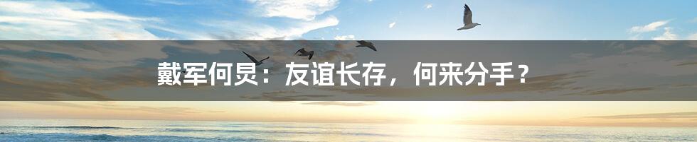戴军何炅:友谊长存,何来分手?