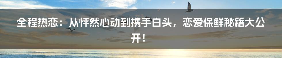 全程热恋:从怦然心动到携手白头,恋爱保鲜秘籍大公开!