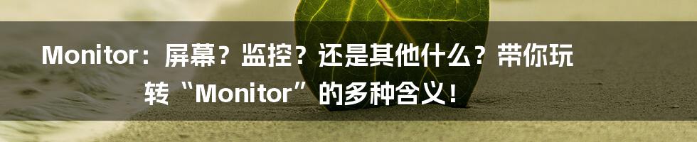 Monitor:屏幕?监控?还是其他什么?带你玩转“Monitor”的多种含义!