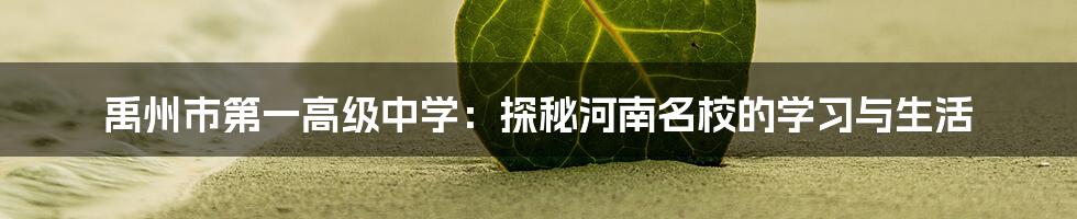 禹州市第一高级中学:探秘河南名校的学习与生活