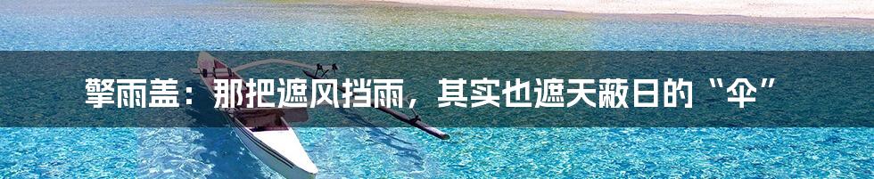 擎雨盖:那把遮风挡雨,其实也遮天蔽日的“伞”
