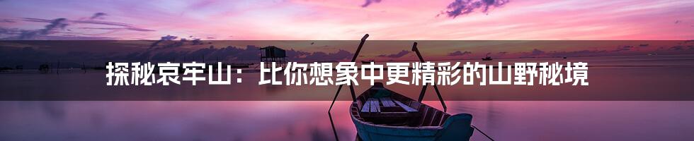探秘哀牢山:比你想象中更精彩的山野秘境