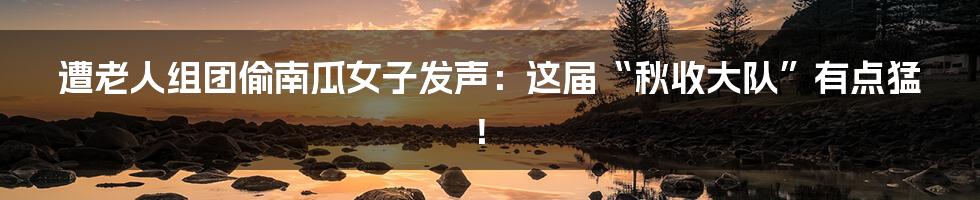 遭老人组团偷南瓜女子发声:这届“秋收大队”有点猛!