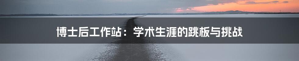 博士后工作站:学术生涯的跳板与挑战