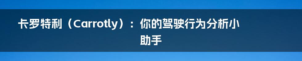 卡罗特利(Carrotly):你的驾驶行为分析小助手
