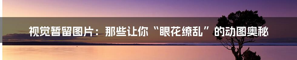 视觉暂留图片:那些让你“眼花缭乱”的动图奥秘