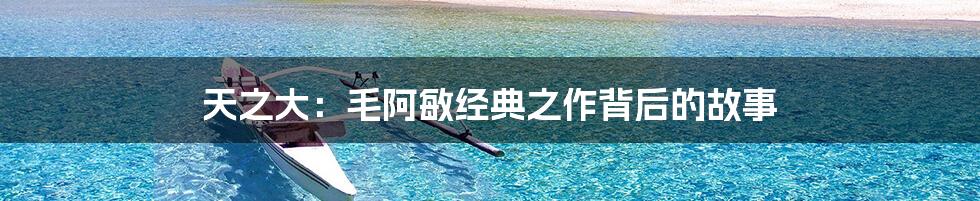 天之大:毛阿敏经典之作背后的故事